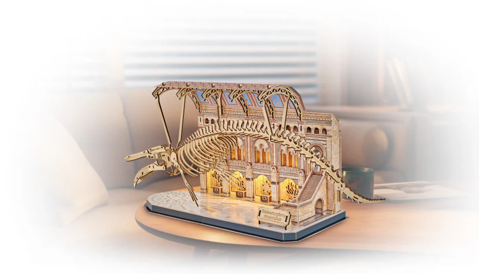 Natural Museum Blue Whale - Image 2